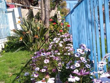 CRISOL AMPLIA CASA EN MENA, CENTRAL MÁS DEPTO