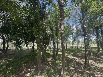 VENTA CASA BARRIO RAICES SAN VICENTE