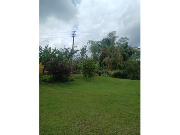 FINCA CAFETERA
