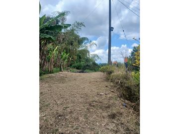 FINCA CAFETERA