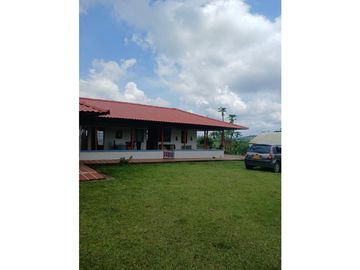 FINCA CAFETERA