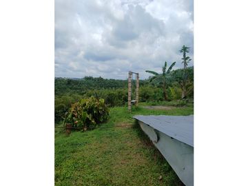 FINCA CAFETERA