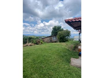 FINCA CAFETERA