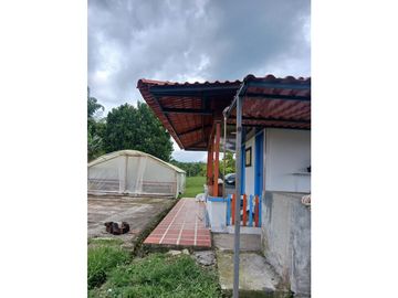 FINCA CAFETERA