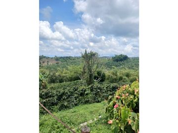 FINCA CAFETERA