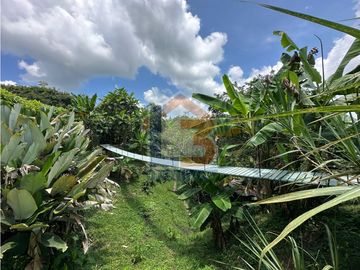 SE VENDE FINCA FAMILIAR O TURISTICA VIA QUIMBAYA-ALCAL