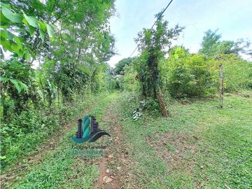 VENDO CASA Y LOTE DE 1508M2 PRECIO NEGOCIABLE