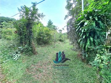 VENDO CASA Y LOTE DE 1508M2 PRECIO NEGOCIABLE