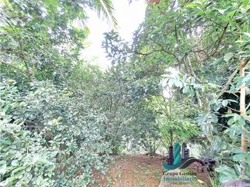 VENDO CASA Y LOTE DE 1508M2 PRECIO NEGOCIABLE