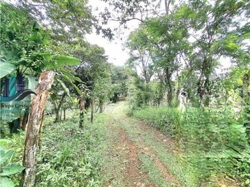 VENDO CASA Y LOTE DE 1508M2 PRECIO NEGOCIABLE