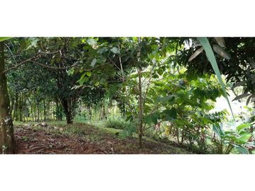 VENDO CASA Y LOTE DE 1508M2 PRECIO NEGOCIABLE
