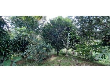 VENDO CASA Y LOTE DE 1508M2 PRECIO NEGOCIABLE