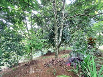 VENDO CASA Y LOTE DE 1508M2 PRECIO NEGOCIABLE