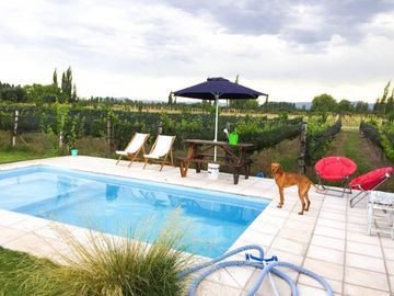 Oferta Vendo Casa Quinta amplia con 3200 m2 . Cuadro Benegas. San Rafael
