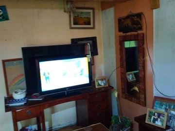 Casa en Venta en Av Concha y Toro con Domingo tocornal