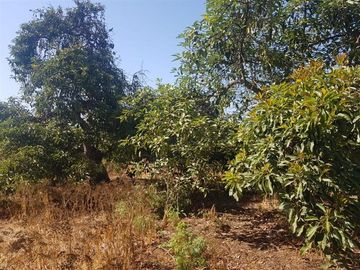 Sitio en Venta en Pocochay/Plaza de la Cruz / I. Municipalidad de la Cruz