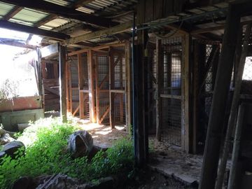 Terreno Construccion  en Venta en Pocochay/Plaza de la Cruz / I. Municipalidad de la Cruz