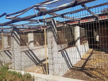 Terreno Construccion  en Venta en Pocochay/Plaza de la Cruz / I. Municipalidad de la Cruz