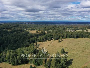 Campo en Purranque, Osorno