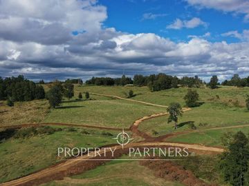 Campo en Purranque, Osorno