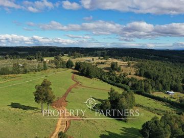 Campo en Purranque, Osorno