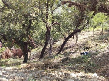 Terreno en venta, San Eugenio, Raices, Allende, Nuevo León.