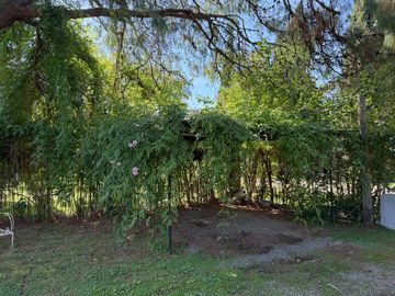 Casa Quinta en Venta en Chilvilcoy, 3000 m2 con precioso jar