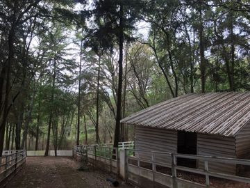 Rancho Villa del Carbón