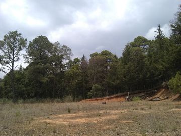 Rancho Villa del Carbón