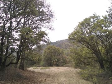 Rancho Villa del Carbón