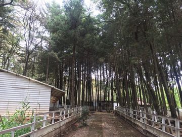 Rancho Villa del Carbón