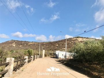 Sitio en Venta en camino a pencahue , sector quepo, camino a hacia el norte