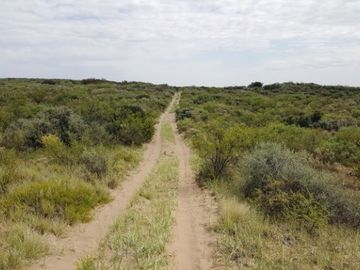 Estancia, campo ganadero de cria, 94.149 has. En Mendoza, con importantes mejoras, con o sin hacienda.