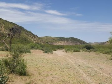 Estancia, campo ganadero de cria, 94.149 has. En Mendoza, con importantes mejoras, con o sin hacienda.