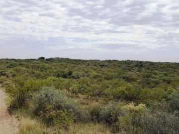 Estancia, campo ganadero de cria, 94.149 has. En Mendoza, con importantes mejoras, con o sin hacienda.