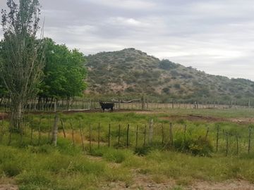 Estancia, campo ganadero de cria, 94.149 has. En Mendoza, con importantes mejoras, con o sin hacienda.