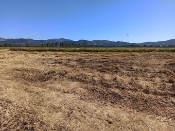 PROPIEDAD AGRÍCOLA EN VENTA, CAMPO DE 35 HA, SAN JAVIER