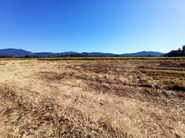 PROPIEDAD AGRÍCOLA EN VENTA, CAMPO DE 35 HA, SAN JAVIER