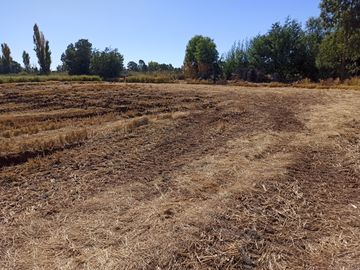 PROPIEDAD AGRÍCOLA EN VENTA, CAMPO DE 35 HA, SAN JAVIER