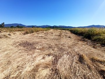 PROPIEDAD AGRÍCOLA EN VENTA, CAMPO DE 35 HA, SAN JAVIER
