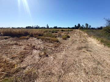 PROPIEDAD AGRÍCOLA EN VENTA, CAMPO DE 35 HA, SAN JAVIER