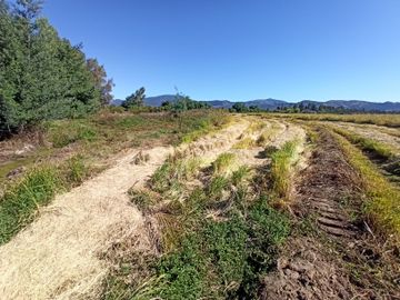 PROPIEDAD AGRÍCOLA EN VENTA, CAMPO DE 35 HA, SAN JAVIER