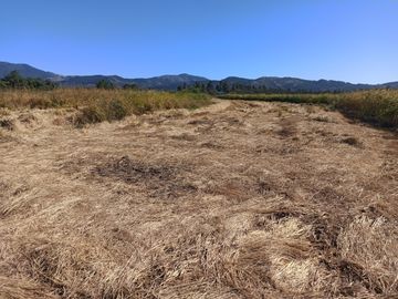 PROPIEDAD AGRÍCOLA EN VENTA, CAMPO DE 35 HA, SAN JAVIER