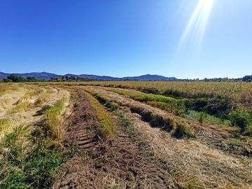 PROPIEDAD AGRÍCOLA EN VENTA, CAMPO DE 35 HA, SAN JAVIER