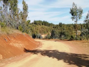 EXCLUSIVAS PARCELAS 5000 MTS NAVIDAD