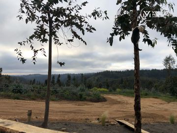 EXCLUSIVAS PARCELAS 5000 MTS NAVIDAD