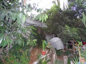 VENDE CASA CON GRAN TERRRENO PARA CONSTRCCION HABITACIONAL