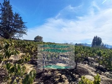 LA SERENA- VENTA PARCELA CON AMPLIA CASA 4D/3B EN BELLAVISTA
