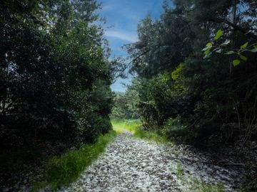 SE VENDE ESPLÉNDIDO CENTRO TURÍSTICO EN SAN FABIAN DE ALICO