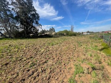 VENDE PARCELA CON CASA SECTOR LOS GOMEROS, PELARCO